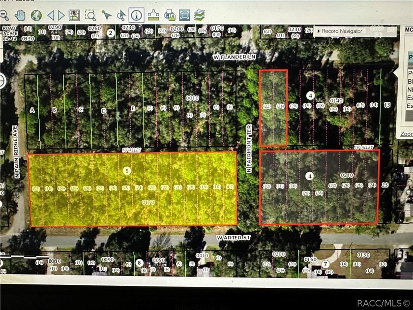 4 DUPLEXES. PLUS 41 Buildable Lots with water and private sewer - photo 22