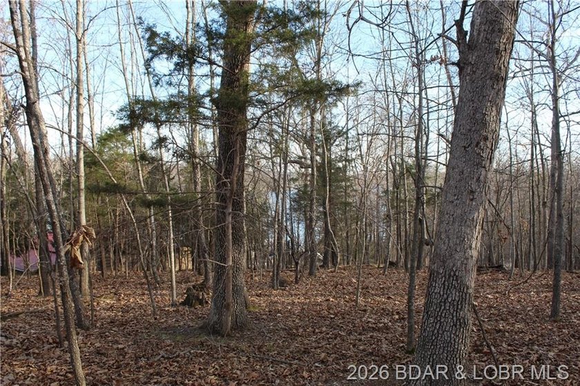 Nice building lot overlooking Gladstone Cove. Property lays nice - photo 11