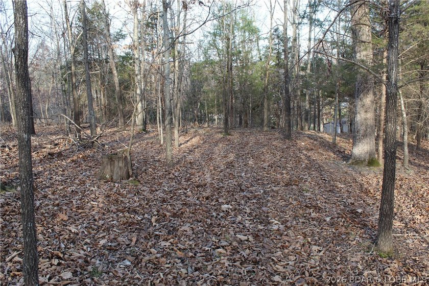 Nice building lot overlooking Gladstone Cove. Property lays nice - photo 12