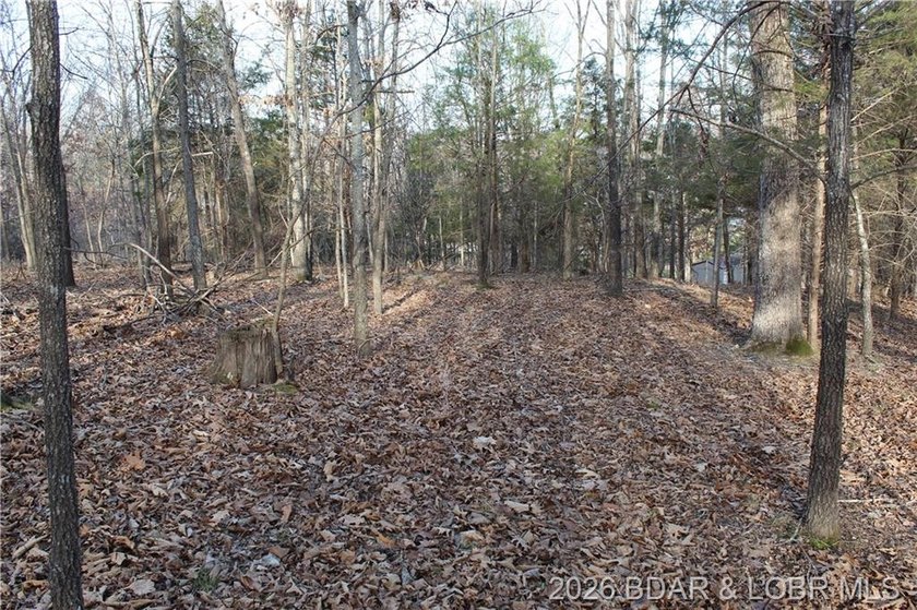 Nice building lot overlooking Gladstone Cove. Property lays nice - photo 12