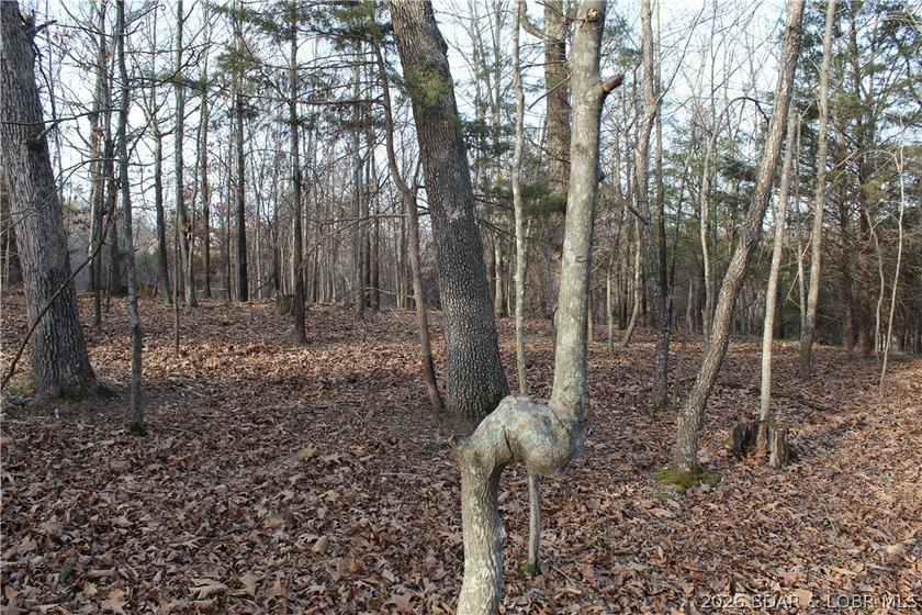 Nice building lot overlooking Gladstone Cove. Property lays nice - photo 14