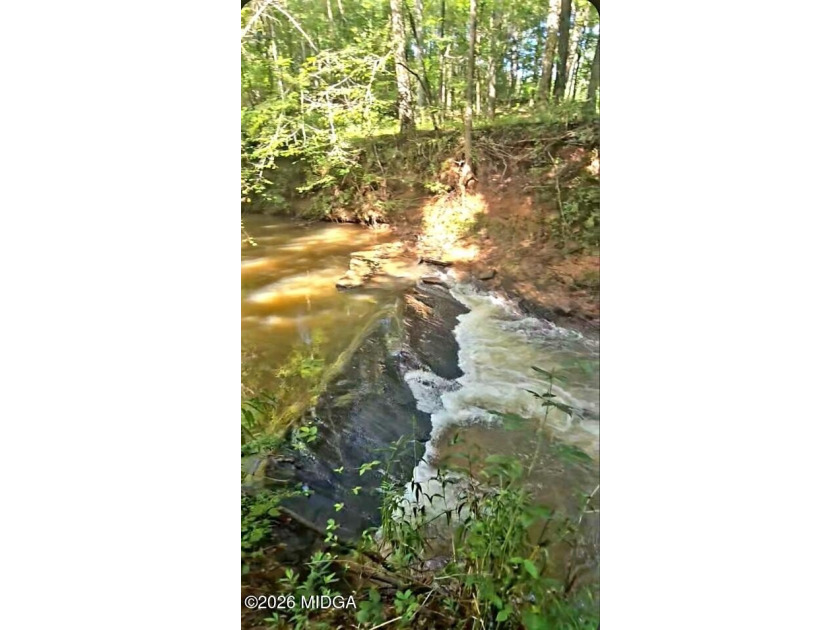 Four beautiful parcels available just off Highway 42 South in - photo 16