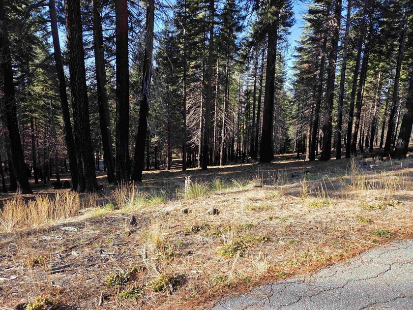 Nice .67 acre parcel in Lake Almanor West. Located on a quiet - photo 2