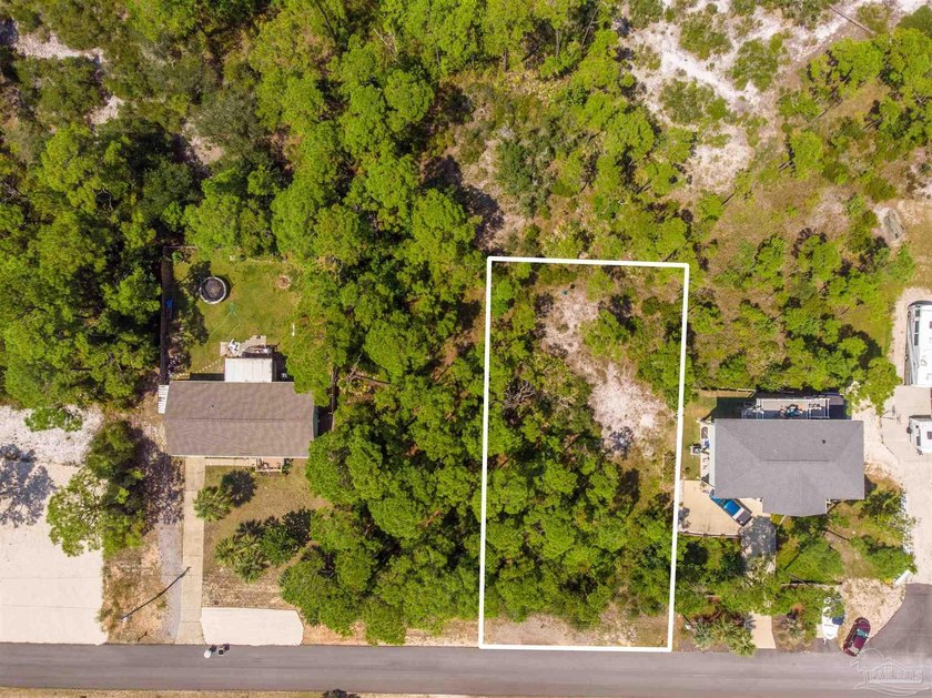 Build your dream home on this gorgeous lot in Perdido Key - photo 4