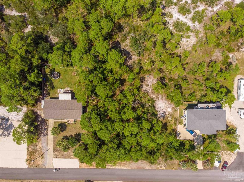 Build your dream home on this gorgeous lot in Perdido Key - photo 7