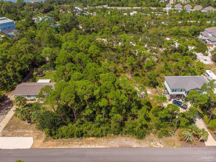 Build your dream home on this gorgeous lot in Perdido Key - photo 8