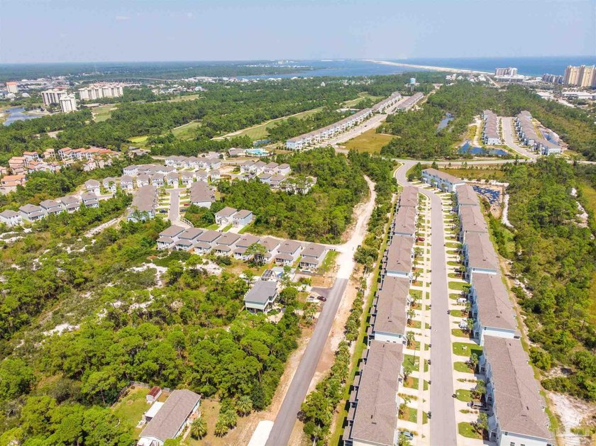 Build your dream home on this gorgeous lot in Perdido Key - photo 10