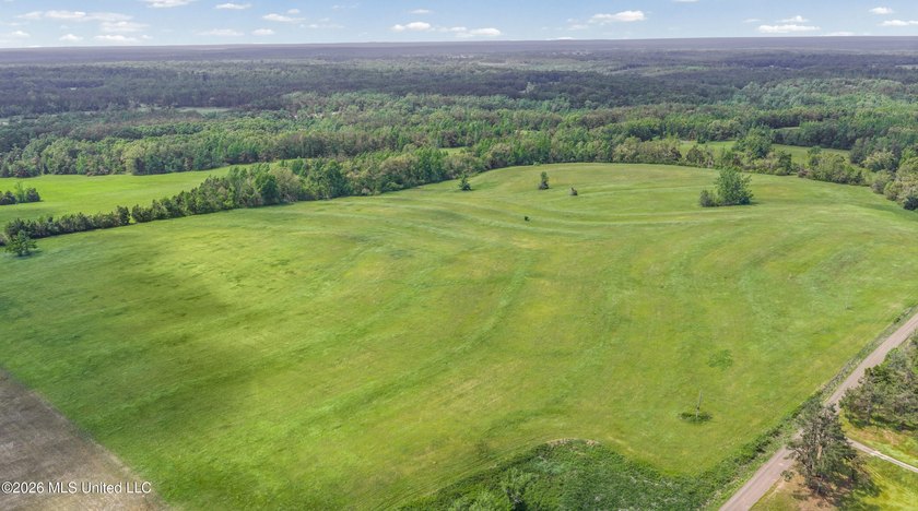 Discover an exceptional 169.9+/- acre tract just minutes from - photo 4