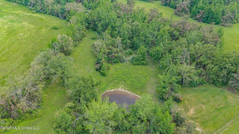 Discover an exceptional 169.9+/- acre tract just minutes from - photo 6