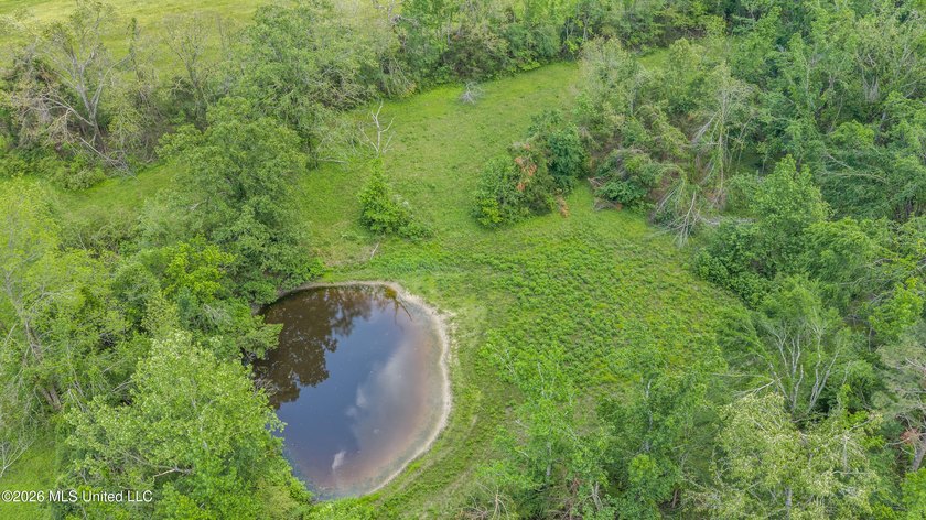Discover an exceptional 169.9+/- acre tract just minutes from - photo 7