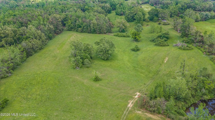 Discover an exceptional 169.9+/- acre tract just minutes from - photo 8