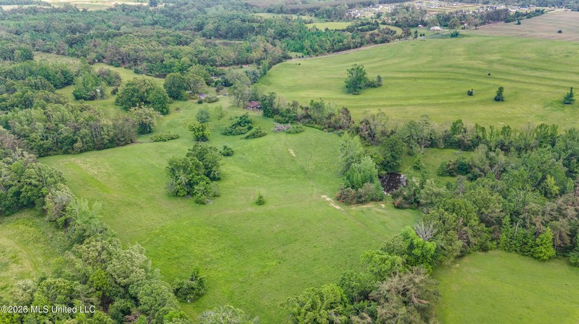 Discover an exceptional 169.9+/- acre tract just minutes from - photo 9
