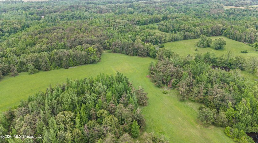 Discover an exceptional 169.9+/- acre tract just minutes from - photo 10