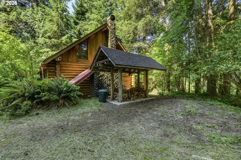 Experience a unique log cabin getaway at Fishhawk Lake, built - photo 30