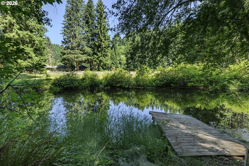 Experience a unique log cabin getaway at Fishhawk Lake, built - photo 34