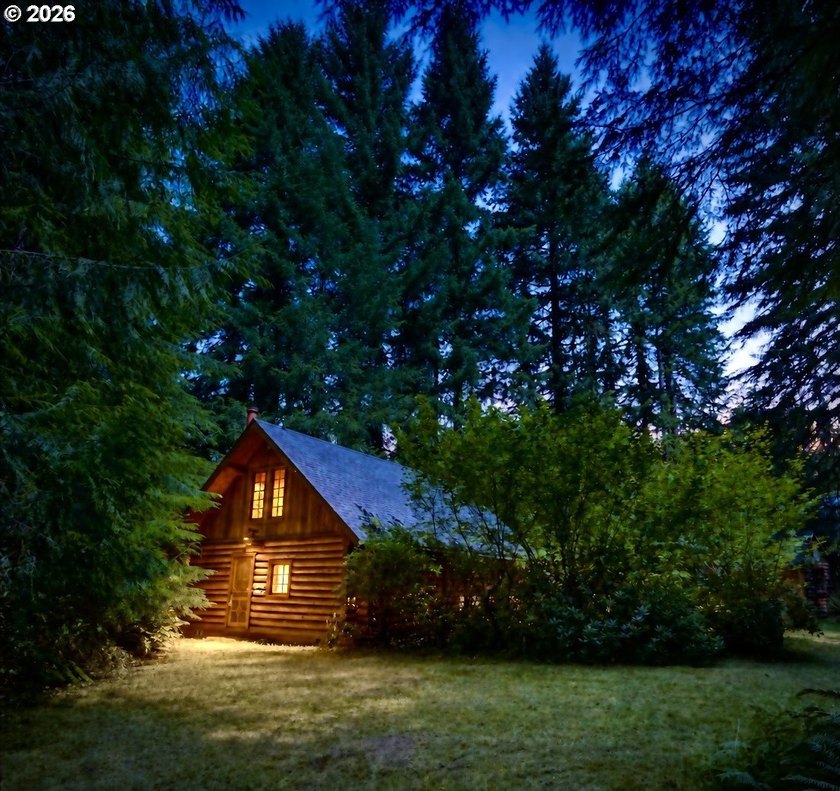 Experience a unique log cabin getaway at Fishhawk Lake, built - photo 35