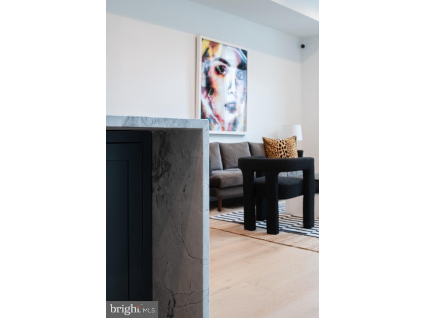 Introducing the Sansom 5 - a luxurious enclave in Rittenhouse - photo 19
