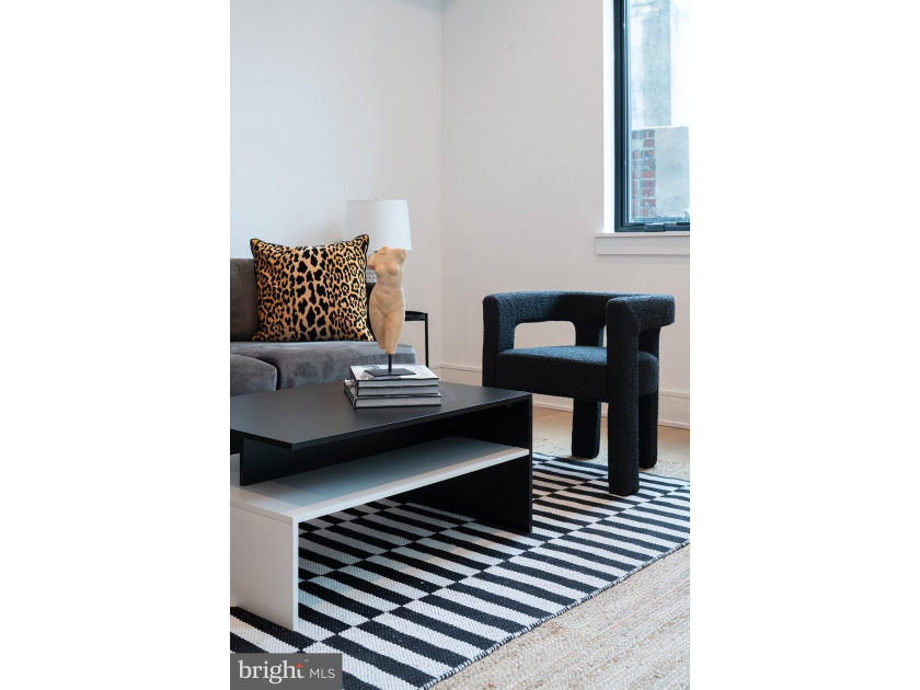 Introducing the Sansom 5 - a luxurious enclave in Rittenhouse - photo 20