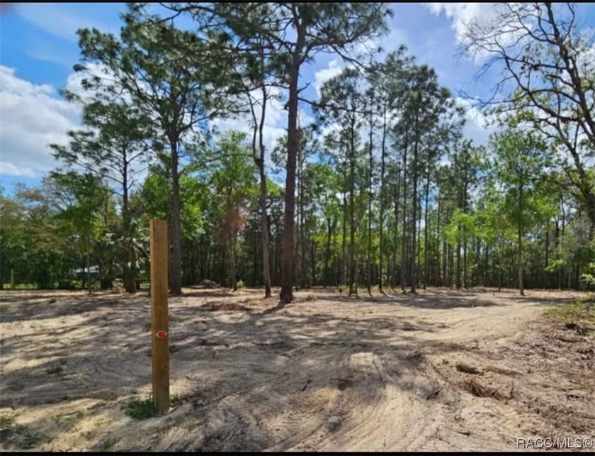 Nestled in a quiet, secluded setting, this .69-acre parcel in - photo 5