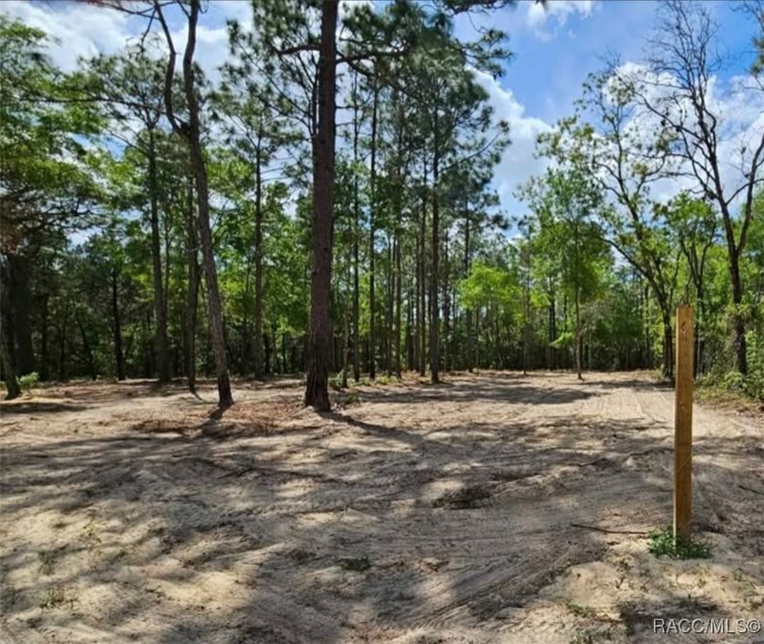 Nestled in a quiet, secluded setting, this .69-acre parcel in - photo 8