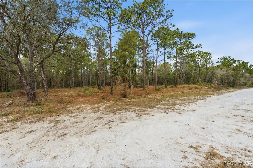 Nestled in a quiet, secluded setting, this .69-acre parcel in - photo 10