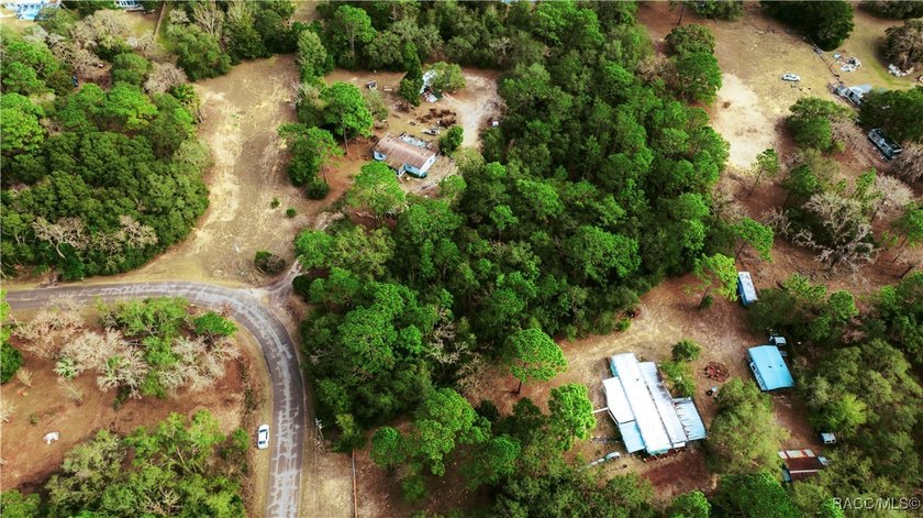 Vita Bella on Monticello. Build your Florida dream in the heart - photo 2