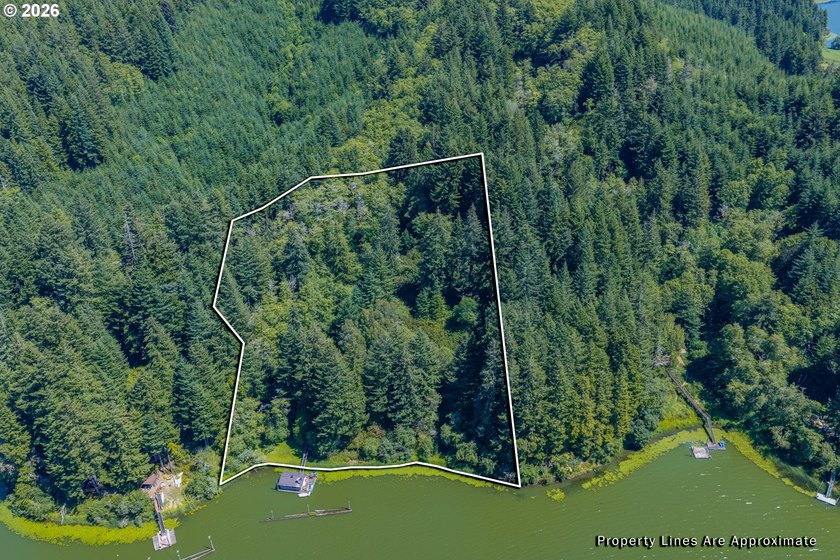 One-of-a-kind Tenmile Lakefront home on Coleman Arm - boat - photo 44