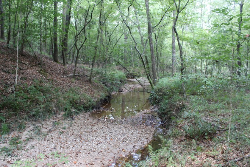 This 7.21 acre tract would make a great home or camp site - photo 12