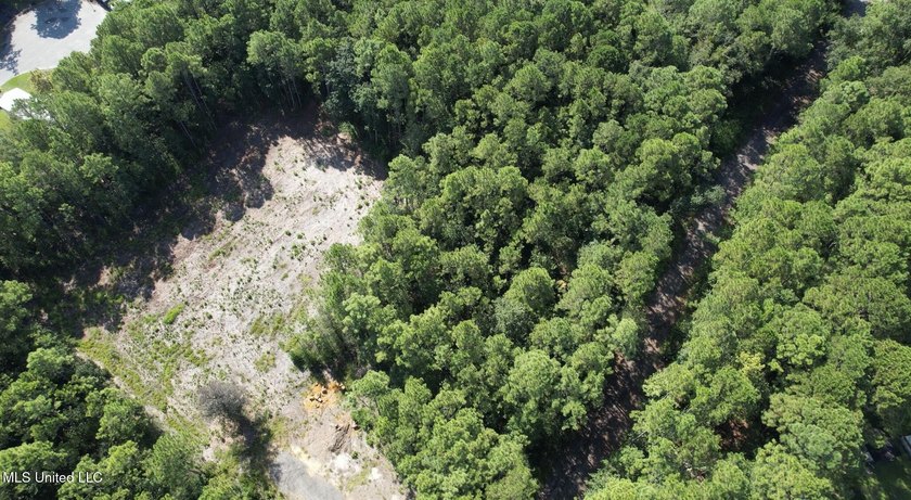 RARE 4-ACRE LOT IN PRIME GAUTIER LOCATION - A HIDDEN GEM NEAR - photo 14