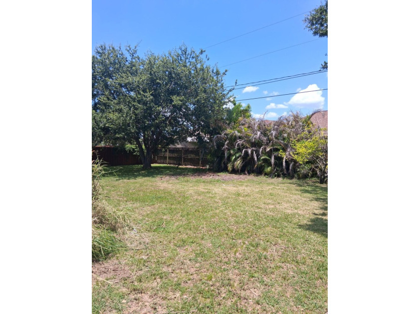 Beautiful CBS 3 bedroom 2 bathroom 2 car garage home with large - photo 3