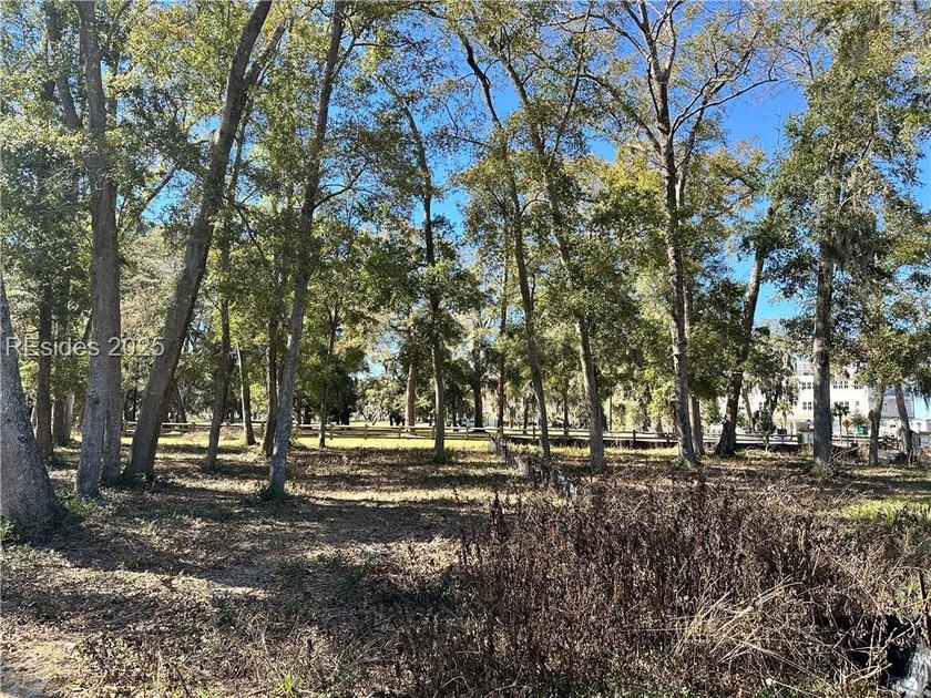 LAST AVAILABLE PARK FRONT LOT IN WHITEHALL POINT! Seize the rare - photo 3