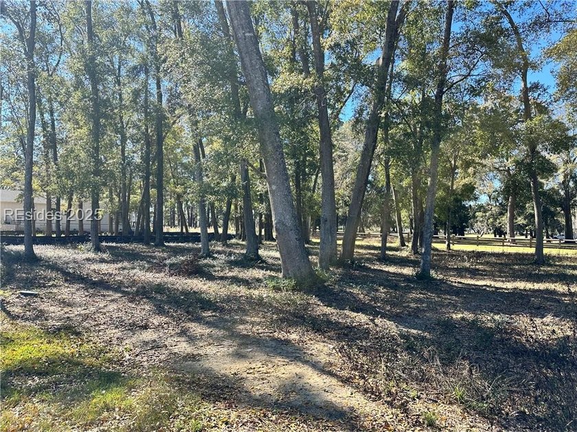 LAST AVAILABLE PARK FRONT LOT IN WHITEHALL POINT! Seize the rare - photo 4
