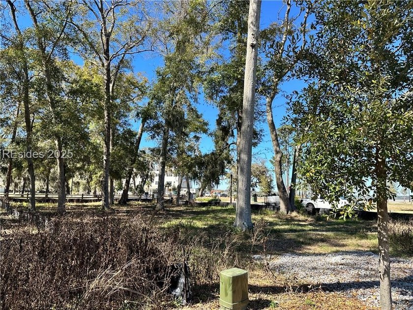LAST AVAILABLE PARK FRONT LOT IN WHITEHALL POINT! Seize the rare - photo 5