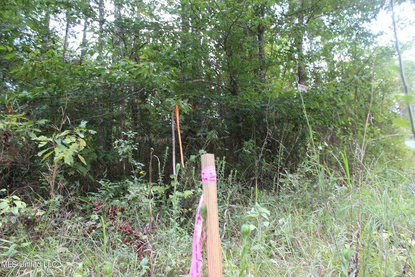 Welcome to this beautiful wooded tract of land located in - photo 12