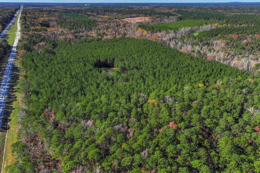 Build your dream home on this beautiful 76.24-acre property in - photo 13