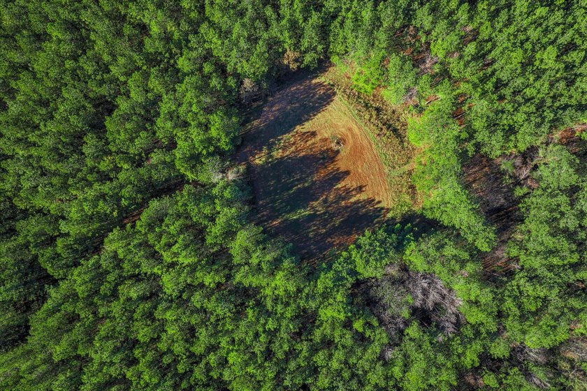 Build your dream home on this beautiful 76.24-acre property in - photo 14