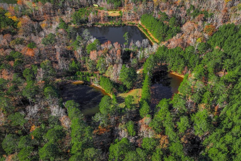 Build your dream home on this beautiful 76.24-acre property in - photo 15