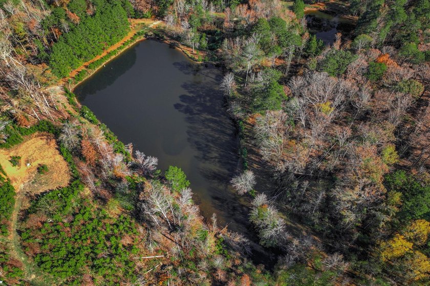 Build your dream home on this beautiful 76.24-acre property in - photo 17