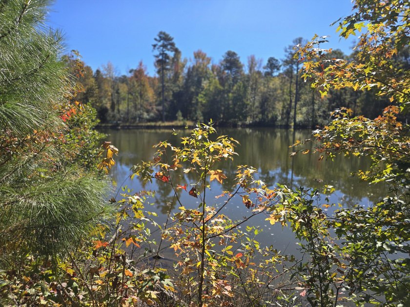 Build your dream home on this beautiful 76.24-acre property in - photo 18