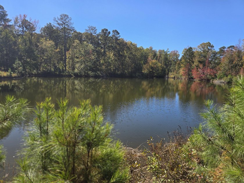 Build your dream home on this beautiful 76.24-acre property in - photo 19