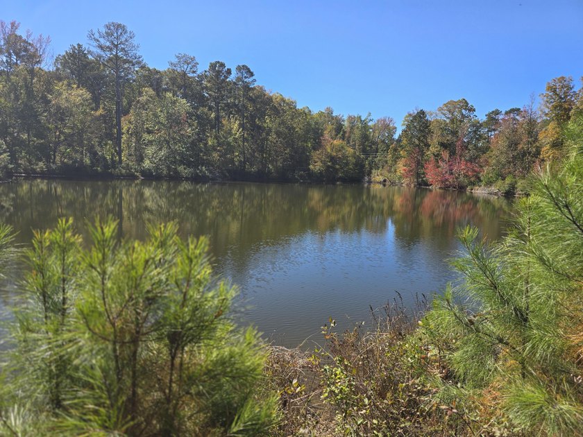 Build your dream home on this beautiful 76.24-acre property in - photo 20