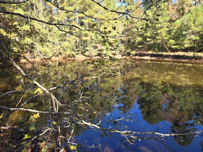 Build your dream home on this beautiful 76.24-acre property in - photo 22