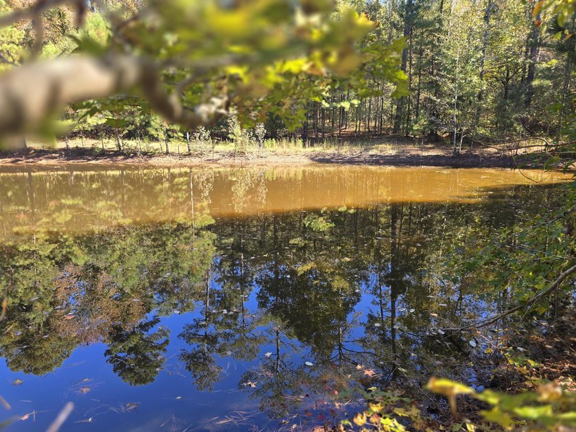 Build your dream home on this beautiful 76.24-acre property in - photo 23
