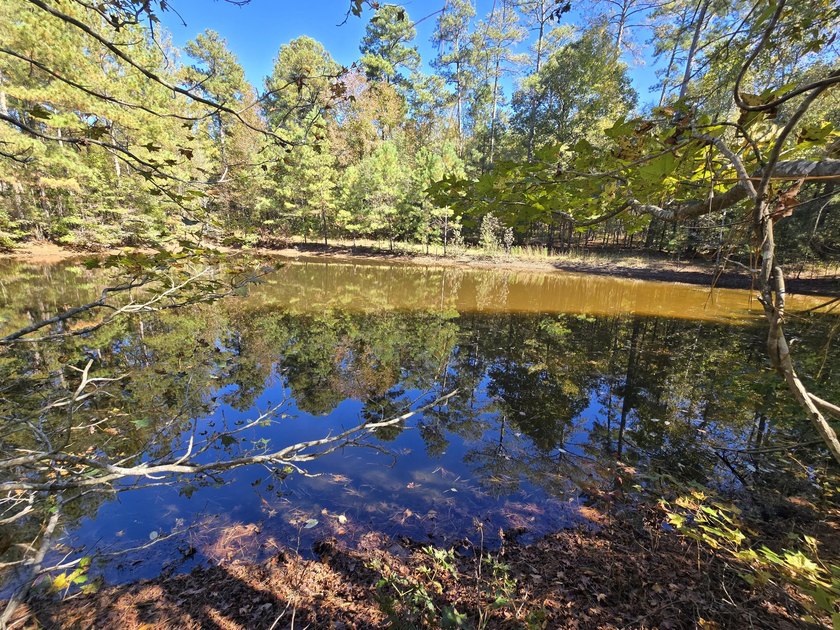 Build your dream home on this beautiful 76.24-acre property in - photo 24