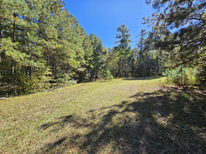 Build your dream home on this beautiful 76.24-acre property in - photo 25