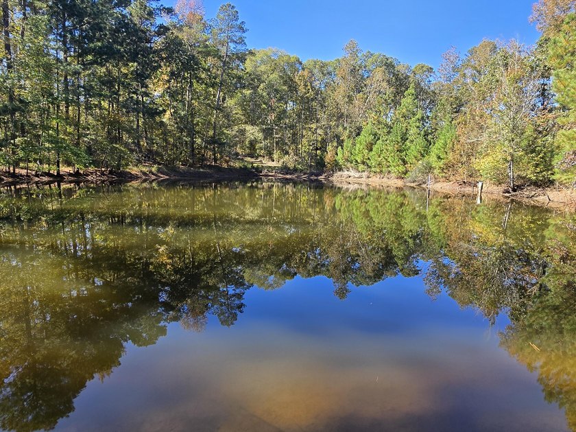 Build your dream home on this beautiful 76.24-acre property in - photo 27