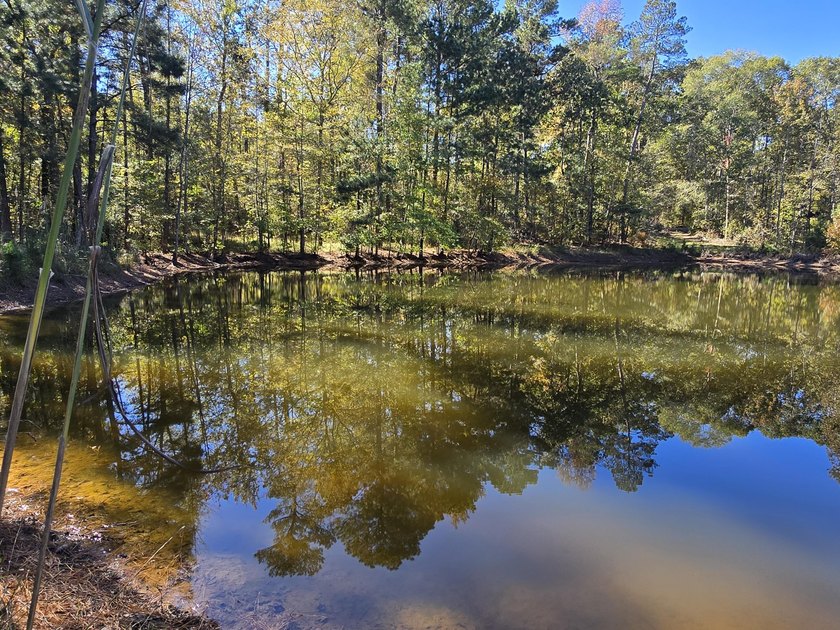 Build your dream home on this beautiful 76.24-acre property in - photo 28