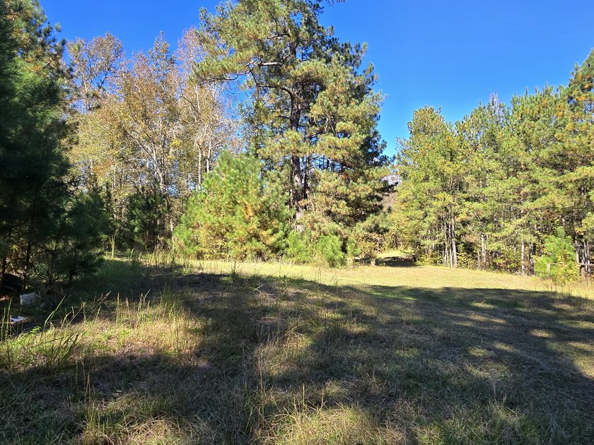 Build your dream home on this beautiful 76.24-acre property in - photo 30