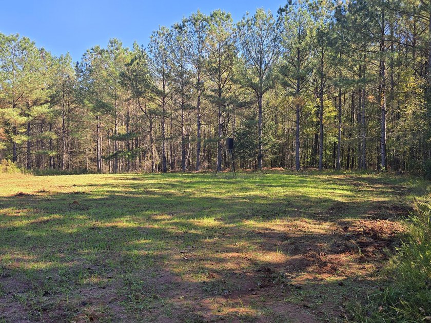 Build your dream home on this beautiful 76.24-acre property in - photo 36