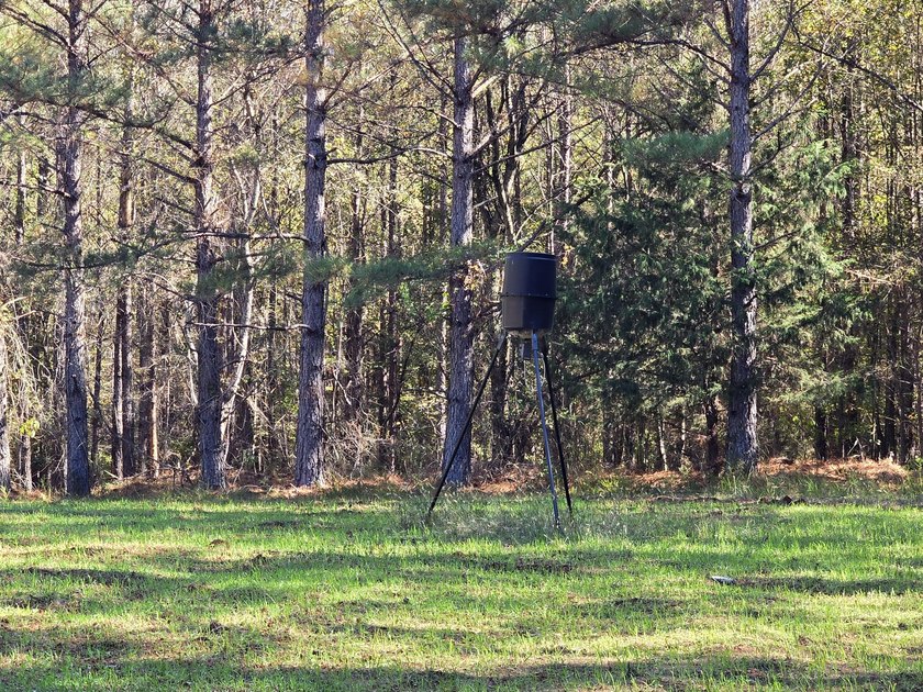 Build your dream home on this beautiful 76.24-acre property in - photo 37